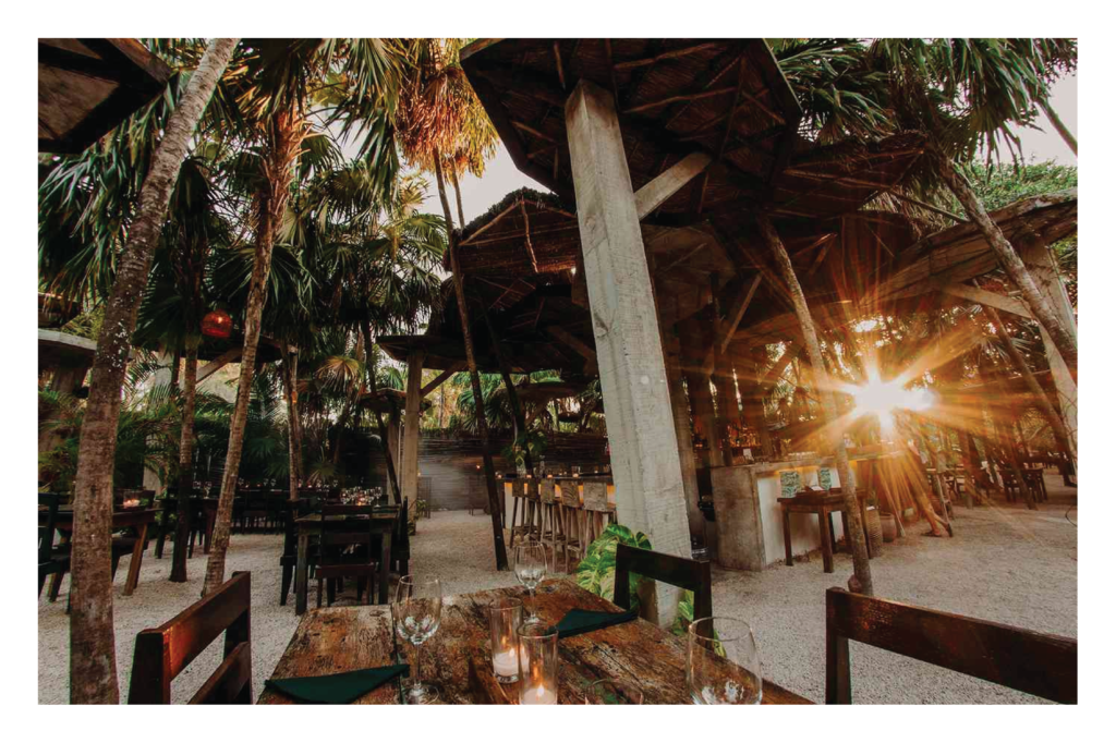 Romantic things to do in tulum

Thanksgiving in Tulum | Tulum Ruins Blog Restaurant