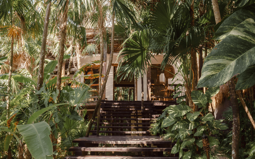 Treehouse Tulum: A Luxury Retreat with New Beach Access in Nature’s Heart